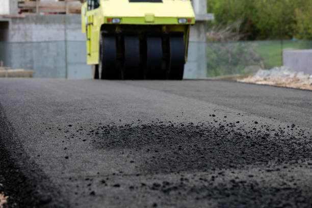 Best Decorative Driveway Pavers  in Indian Lake, TX